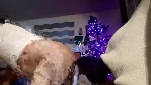 phillipdee online show from November 17, 5:59 pm