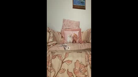 philos1979 online show from January 19, 1:37 am