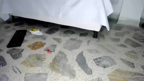 tiffany online show from September 26, 1:35 am