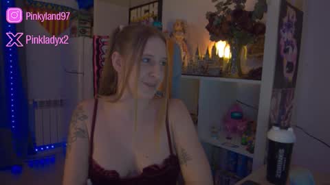 pinkladyx2 online show from February 1, 12:08 am