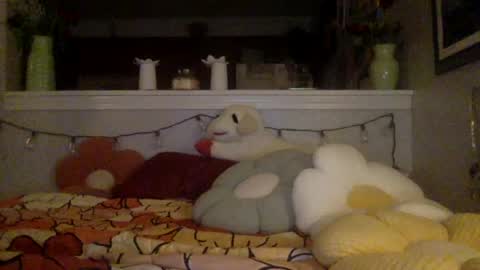 pixie_bella online show from July 7, 1:51 am