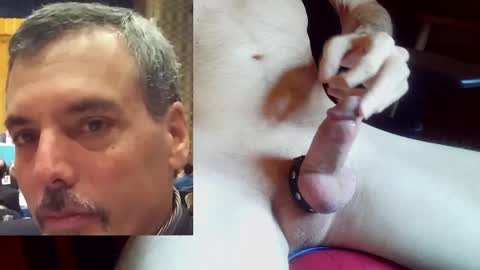 StudMan online show from November 2, 1:00 pm