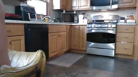 Playfulldick1 online show from October 28, 1:45 pm