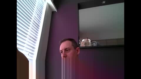 Kevin online show from February 2, 11:29 am