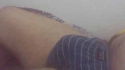 pol2023 online show from September 16, 2:46 am