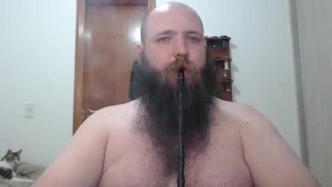 Bear online show from February 17, 3:58 am