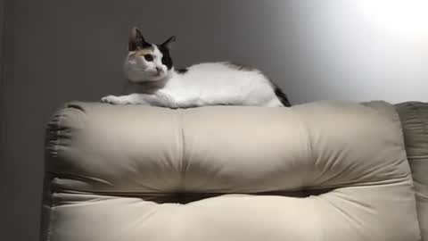 poormanbr online show from November 9, 10:23 pm