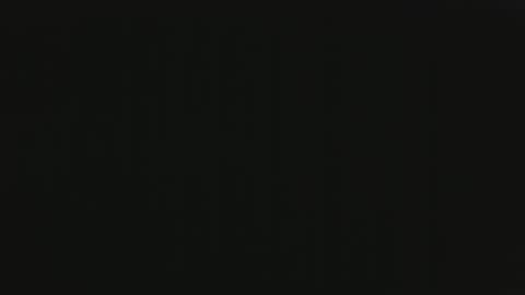 Dinah online show from February 11, 10:13 pm