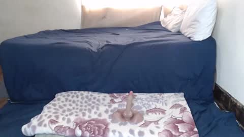 Cindy online show from November 24, 6:56 am