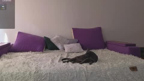 Kitty online show from April 27, 2:20 am