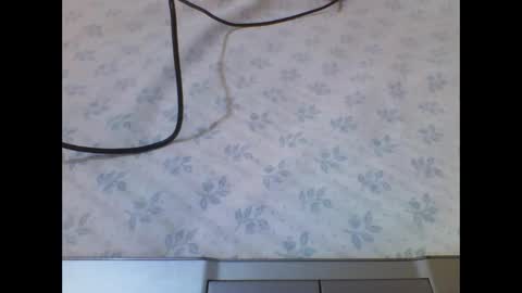 princess online show from May 1, 2:44 pm