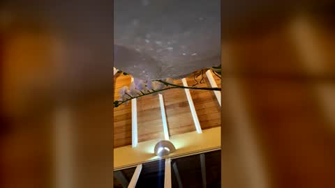 Princess Soraya online show from March 18, 3:34 am