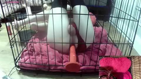 PrIncessJulia0X online show from February 3, 2:08 am