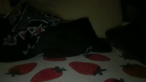 princessoftenis44 online show from February 26, 1:20 am