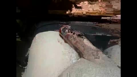 pro_goon69 online show from November 25, 2:38 pm