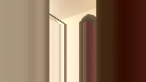 professionalpipelayer online show from January 17, 1:26 am