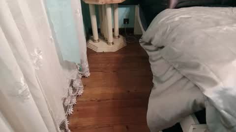 prxscillia_tx online show from October 30, 4:51 pm