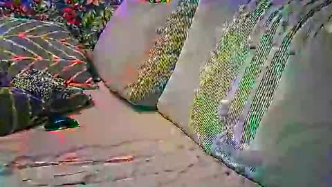 psytube online show from October 22, 9:16 pm