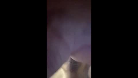 ptasznik11 online show from March 8, 11:25 am