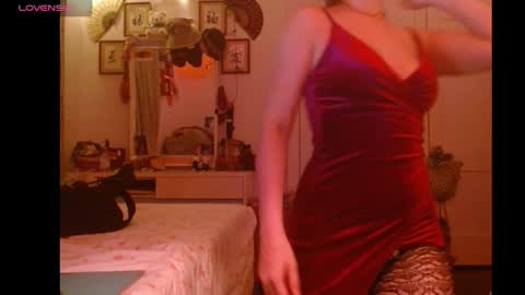 publicuniversalfwb online show from November 26, 1:58 am