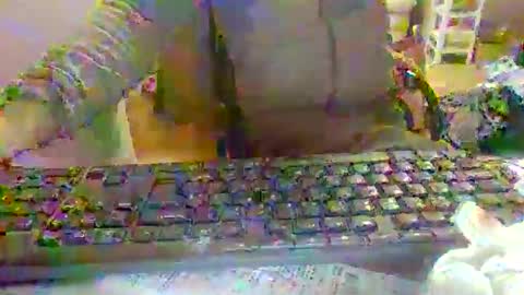 pup_y online show from December 22, 6:47 pm