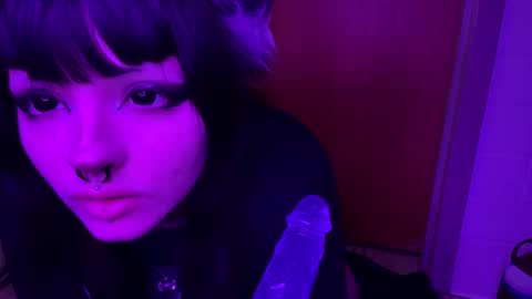 pupcoraa online show from December 15, 12:28 am