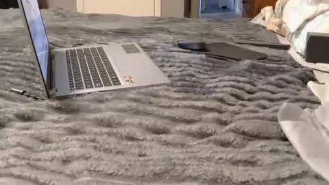 purdyguy7777 online show from October 31, 12:49 pm