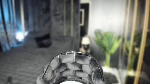 Andreea online show from October 2, 9:13 pm