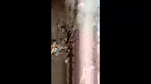 queen_2028 online show from March 29, 9:00 am