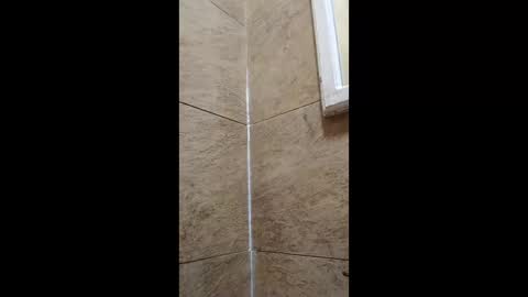 rafagomez102002 online show from January 7, 11:15 am