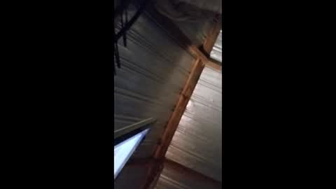 ravenwings5235 online show from December 14, 10:10 am