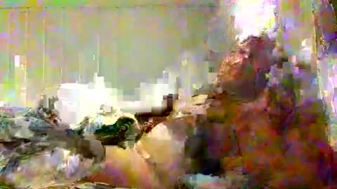 real_viking1 online show from February 7, 5:49 pm