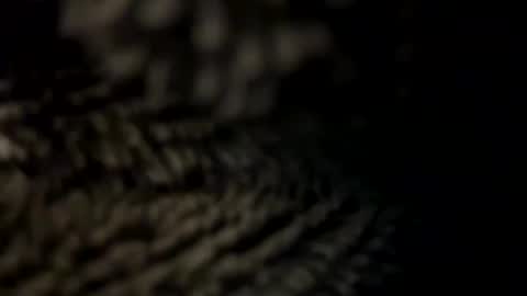 realmanz online show from January 8, 6:09 pm