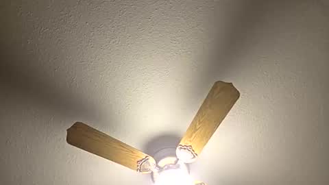 red24devils online show from February 18, 1:22 pm