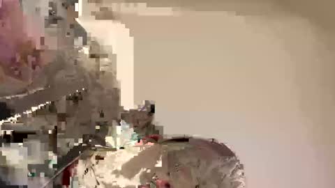 Ali j online show from April 30, 8:57 pm