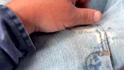 Snapshot of redneck200770 chatting on September 22, 6:56 pm redneck200770 online show from September 22, 6:56 pm