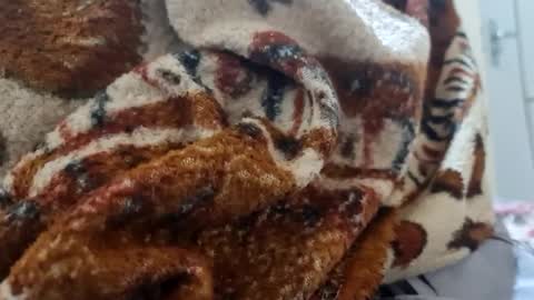 ricard440 online show from January 12, 1:16 pm