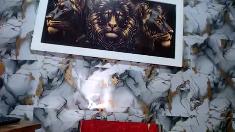 rigel online show from March 12, 5:55 am