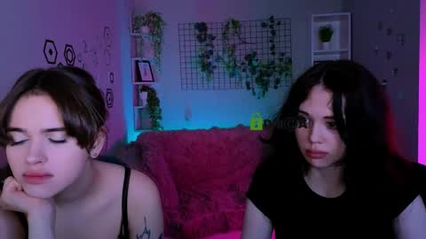 Meow online show from May 2, 7:19 pm