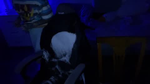 Snapshot of ripper_66 chatting on December 17, 7:48 pm DianaBrite fansl y online show from December 17, 7:48 pm