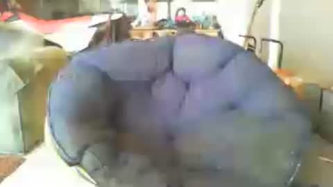 riveratggg online show from July 14, 11:26 am