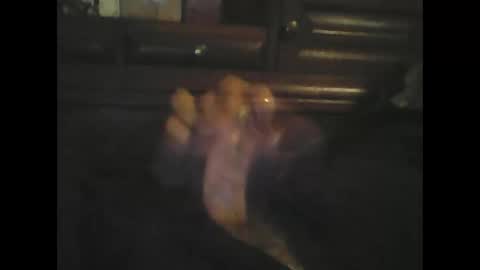 rlpl online show from November 18, 6:22 pm