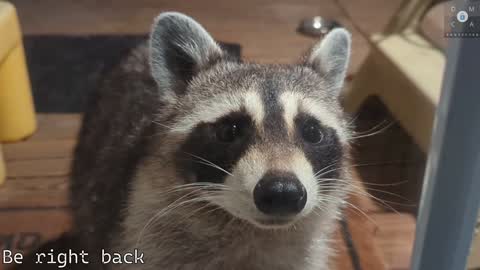 Ryan aka KeylimeRy online show from February 5, 2:37 pm