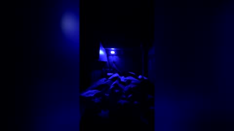 roadglide89 online show from July 7, 2:24 am