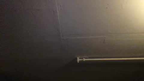 RoastingCorn online show from December 6, 11:17 am