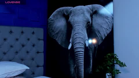 rocco_santos online show from September 27, 7:17 am