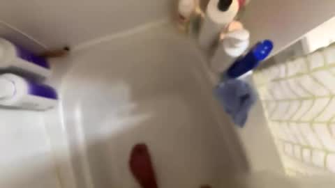 rockymtnhigh505 online show from December 14, 9:32 pm