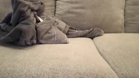 roger59267 online show from February 20, 8:44 pm