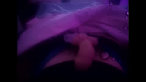 rollino83 online show from October 24, 10:10 pm