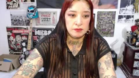 Rolly online show from August 2, 7:04 pm